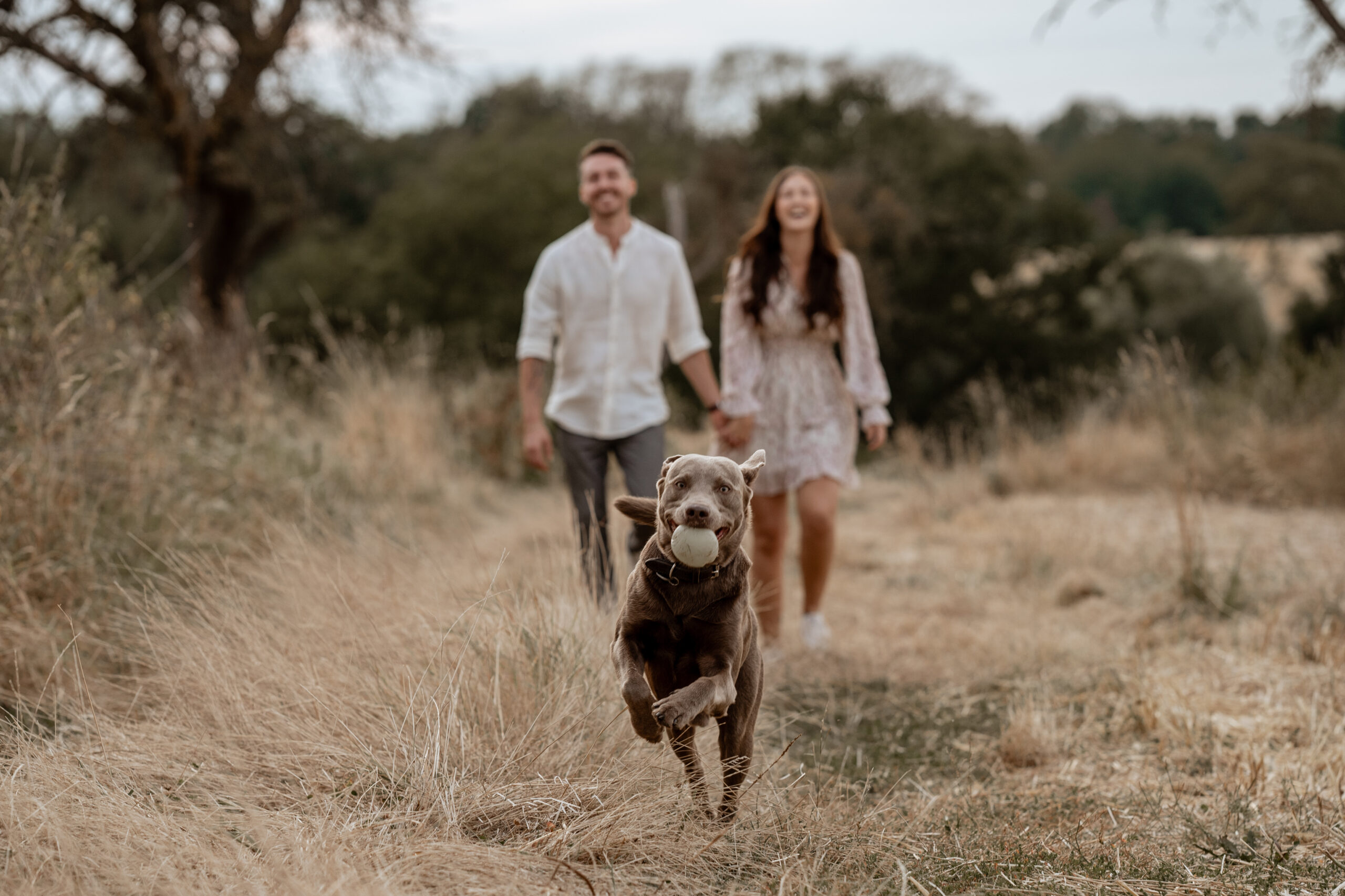 Mensch & Tiershooting